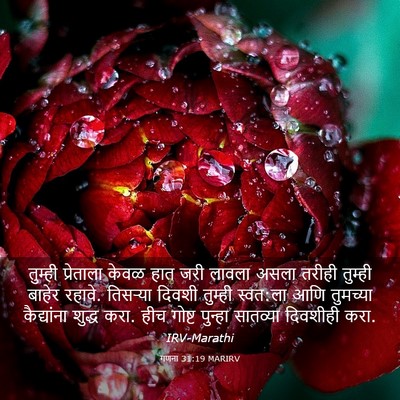 Picture 03 - गणना 31:19 MARIRV - तुम्ही प्रेताला - Bible Verse Picture