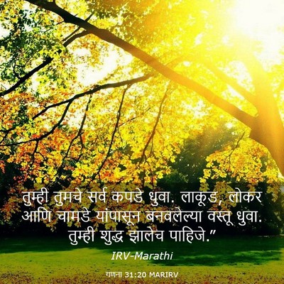 Picture 03 - गणना 31:20 MARIRV - तुम्ही तुमचे सर्व - Bible Verse Picture