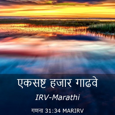 Picture 03 - गणना 31:34 MARIRV - एकसष्ट हजार - Bible Verse Picture