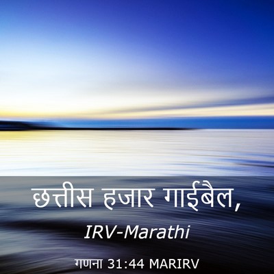 Picture 03 - गणना 31:44 MARIRV - छत्तीस हजार - Bible Verse Picture