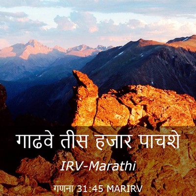Picture 03 - गणना 31:45 MARIRV - गाढवे तीस हजार - Bible Verse Picture