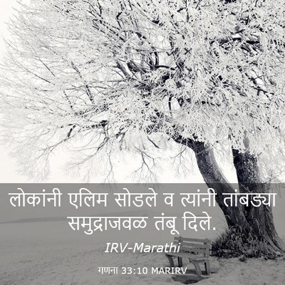 Picture 03 - गणना 33:10 MARIRV - लोकांनी एलिम - Bible Verse Picture