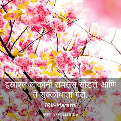 Picture 03 - गणना 33:5 MARIRV - इस्राएल लोकांनी - Bible Verse Picture