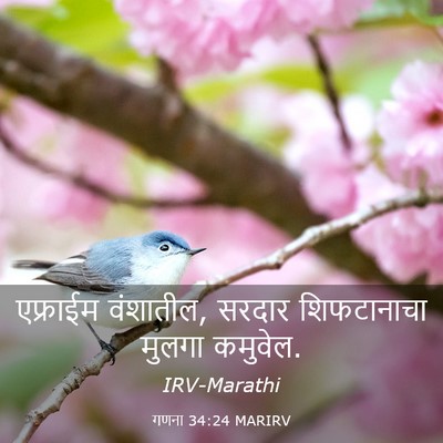 Picture 03 - गणना 34:24 MARIRV - एफ्राईम वंशातील, - Bible Verse Picture