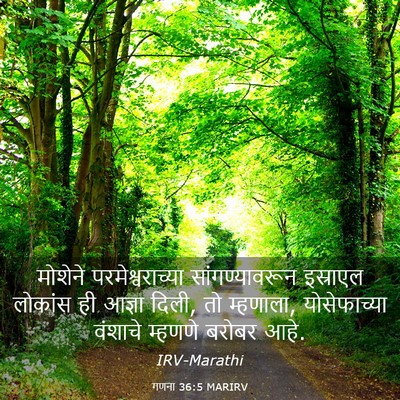 Picture 03 - गणना 36:5 MARIRV - मोशेने - Bible Verse Picture