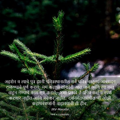 Picture 03 - गणना 4:15 MARIRV - अहरोन व त्याचे - Bible Verse Picture