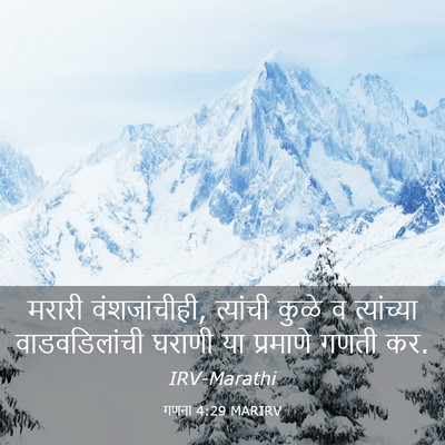 Picture 03 - गणना 4:29 MARIRV - मरारी वंशजांचीही, - Bible Verse Picture