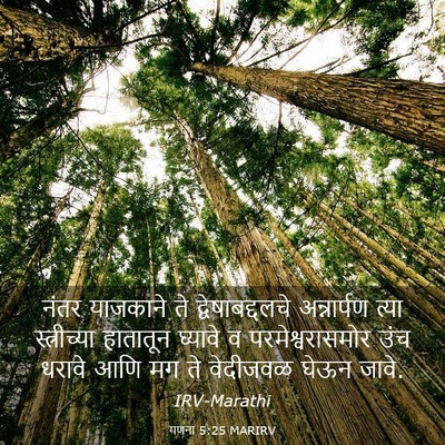 Picture 03 - गणना 5:25 MARIRV - नंतर याजकाने ते - Bible Verse Picture