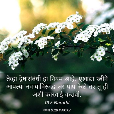 Picture 03 - गणना 5:29 MARIRV - तेव्हा - Bible Verse Picture