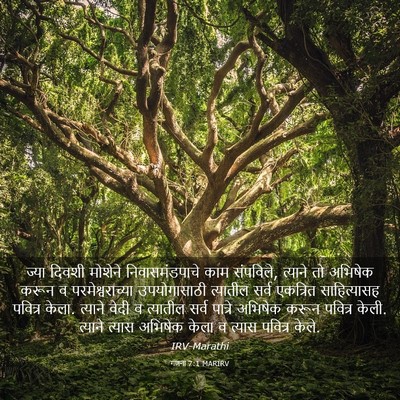 Picture 03 - गणना 7:1 MARIRV - ज्या दिवशी मोशेने - Bible Verse Picture