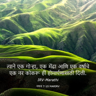 Picture 03 - गणना 7:15 MARIRV - त्याने एक गोऱ्हा, - Bible Verse Picture
