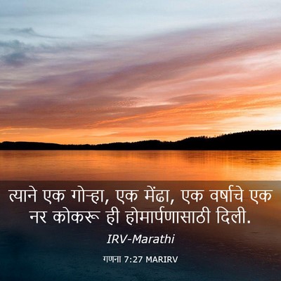 Picture 03 - गणना 7:27 MARIRV - त्याने एक गोऱ्हा, - Bible Verse Picture