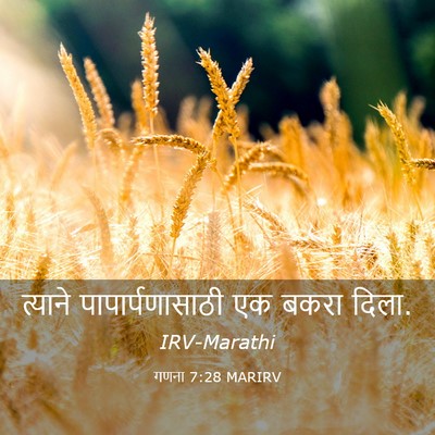 Picture 03 - गणना 7:28 MARIRV - त्याने - Bible Verse Picture