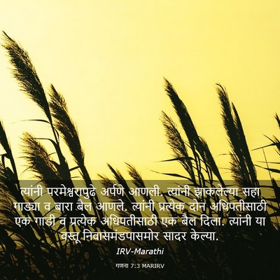 Picture 03 - गणना 7:3 MARIRV - त्यांनी - Bible Verse Picture