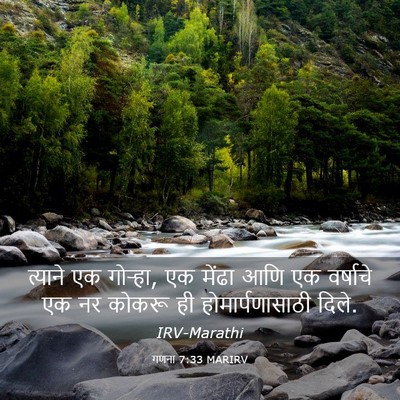 Picture 03 - गणना 7:33 MARIRV - त्याने एक गोऱ्हा, - Bible Verse Picture
