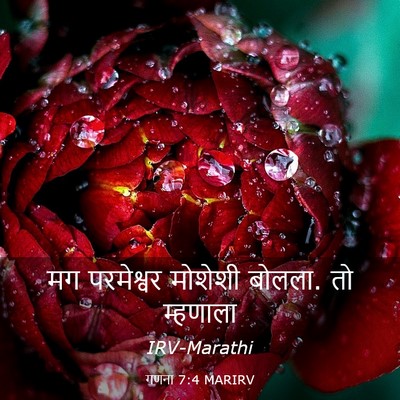 Picture 03 - गणना 7:4 MARIRV - मग परमेश्वर - Bible Verse Picture