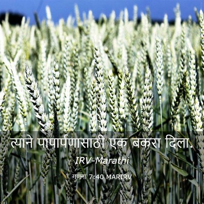 Picture 03 - गणना 7:40 MARIRV - त्याने - Bible Verse Picture