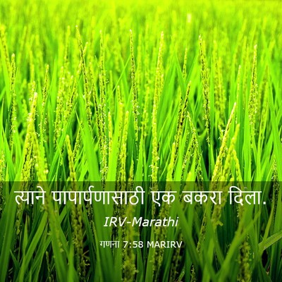 Picture 03 - गणना 7:58 MARIRV - त्याने - Bible Verse Picture