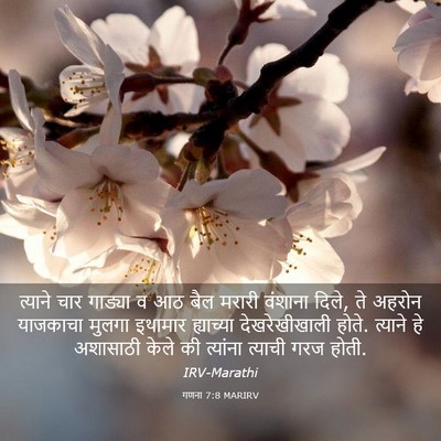 Picture 03 - गणना 7:8 MARIRV - त्याने चार गाड्या - Bible Verse Picture