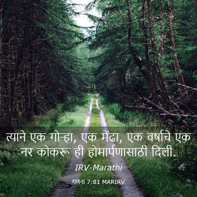 Picture 03 - गणना 7:81 MARIRV - त्याने एक गोऱ्हा, - Bible Verse Picture