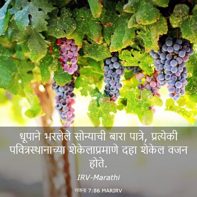 Picture 03 - गणना 7:86 MARIRV - धूपाने भरलेले - Bible Verse Picture