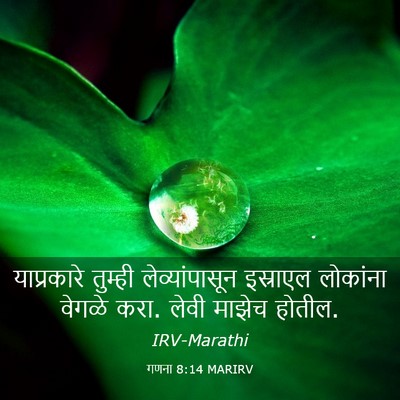 Picture 03 - गणना 8:14 MARIRV - याप्रकारे तुम्ही - Bible Verse Picture