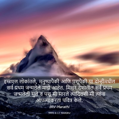 Picture 03 - गणना 8:17 MARIRV - इस्राएल लोकांतले, - Bible Verse Picture