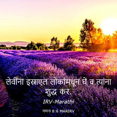 Picture 03 - गणना 8:6 MARIRV - लेवींना इस्राएल - Bible Verse Picture