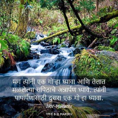 Picture 03 - गणना 8:8 MARIRV - मग त्यांनी एक - Bible Verse Picture