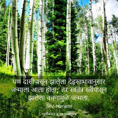 Picture 03 - गलतीकरांस 4:23 MARIRV - पण दासीपासून - Bible Verse Picture
