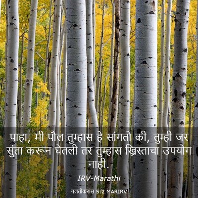 Picture 03 - गलतीकरांस 5:2 MARIRV - पाहा, मी पौल - Bible Verse Picture