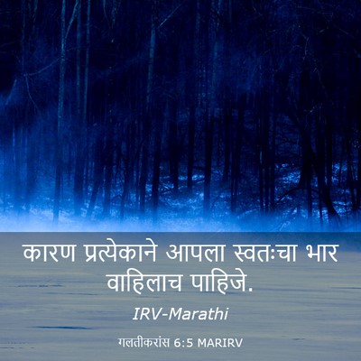 Picture 03 - गलतीकरांस 6:5 MARIRV - कारण प्रत्येकाने - Bible Verse Picture