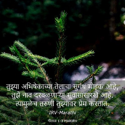Picture 03 - गीतरत्न 1:3 MARIRV - तुझ्या - Bible Verse Picture