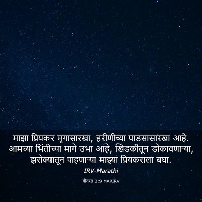 Picture 03 - गीतरत्न 2:9 MARIRV - माझा प्रियकर - Bible Verse Picture