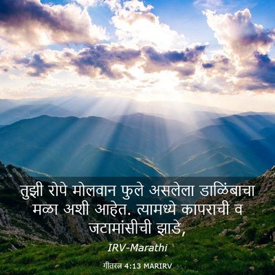 Picture 03 - गीतरत्न 4:13 MARIRV - तुझी रोपे मोलवान - Bible Verse Picture