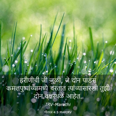 Picture 03 - गीतरत्न 4:5 MARIRV - हरीणीची जी जुळी, जे - Bible Verse Picture