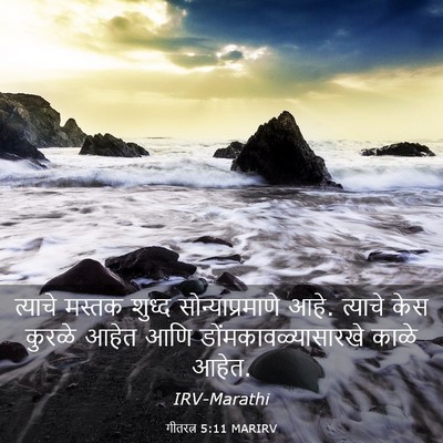 Picture 03 - गीतरत्न 5:11 MARIRV - त्याचे मस्तक - Bible Verse Picture
