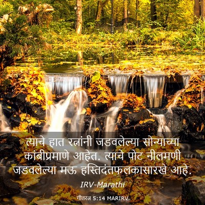Picture 03 - गीतरत्न 5:14 MARIRV - त्याचे हात - Bible Verse Picture