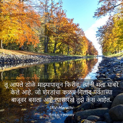 Picture 03 - गीतरत्न 6:5 MARIRV - तू आपले डोळे - Bible Verse Picture