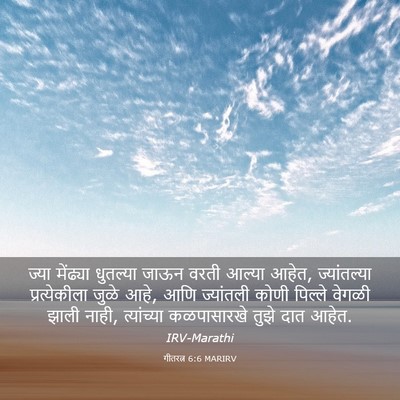 Picture 03 - गीतरत्न 6:6 MARIRV - ज्या मेंढ्या - Bible Verse Picture