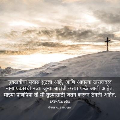 Picture 03 - गीतरत्न 7:13 MARIRV - पुत्रदात्रीचा - Bible Verse Picture
