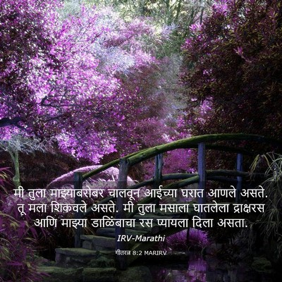 Picture 03 - गीतरत्न 8:2 MARIRV - मी तुला - Bible Verse Picture