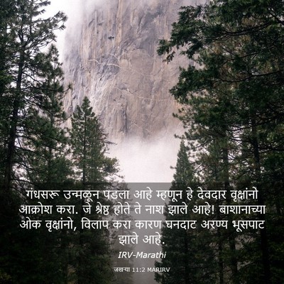 Picture 03 - जखऱ्या 11:2 MARIRV - गंधसरू उन्मळून - Bible Verse Picture