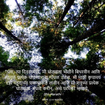 Picture 03 - जखऱ्या 12:4 MARIRV - “पण, त्या - Bible Verse Picture