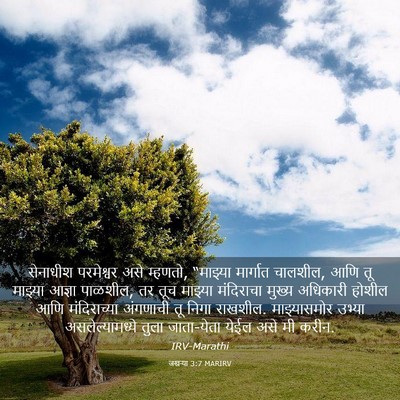 Picture 03 - जखऱ्या 3:7 MARIRV - सेनाधीश परमेश्वर - Bible Verse Picture