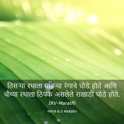 Picture 03 - जखऱ्या 6:3 MARIRV - तिसऱ्या रथाला - Bible Verse Picture