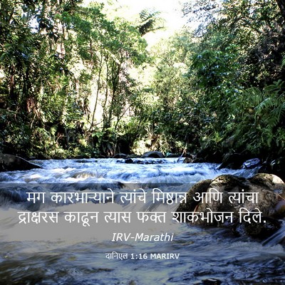 Picture 03 - दानिएल 1:16 MARIRV - मग कारभाऱ्याने - Bible Verse Picture