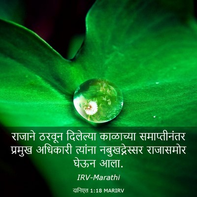 Picture 03 - दानिएल 1:18 MARIRV - राजाने ठरवून - Bible Verse Picture