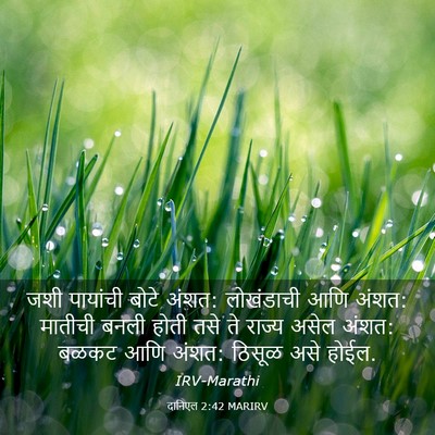 Picture 03 - दानिएल 2:42 MARIRV - जशी पायांची बोटे - Bible Verse Picture