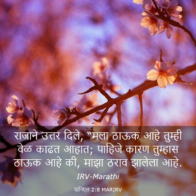 Picture 03 - दानिएल 2:8 MARIRV - राजाने उत्तर दिले, - Bible Verse Picture